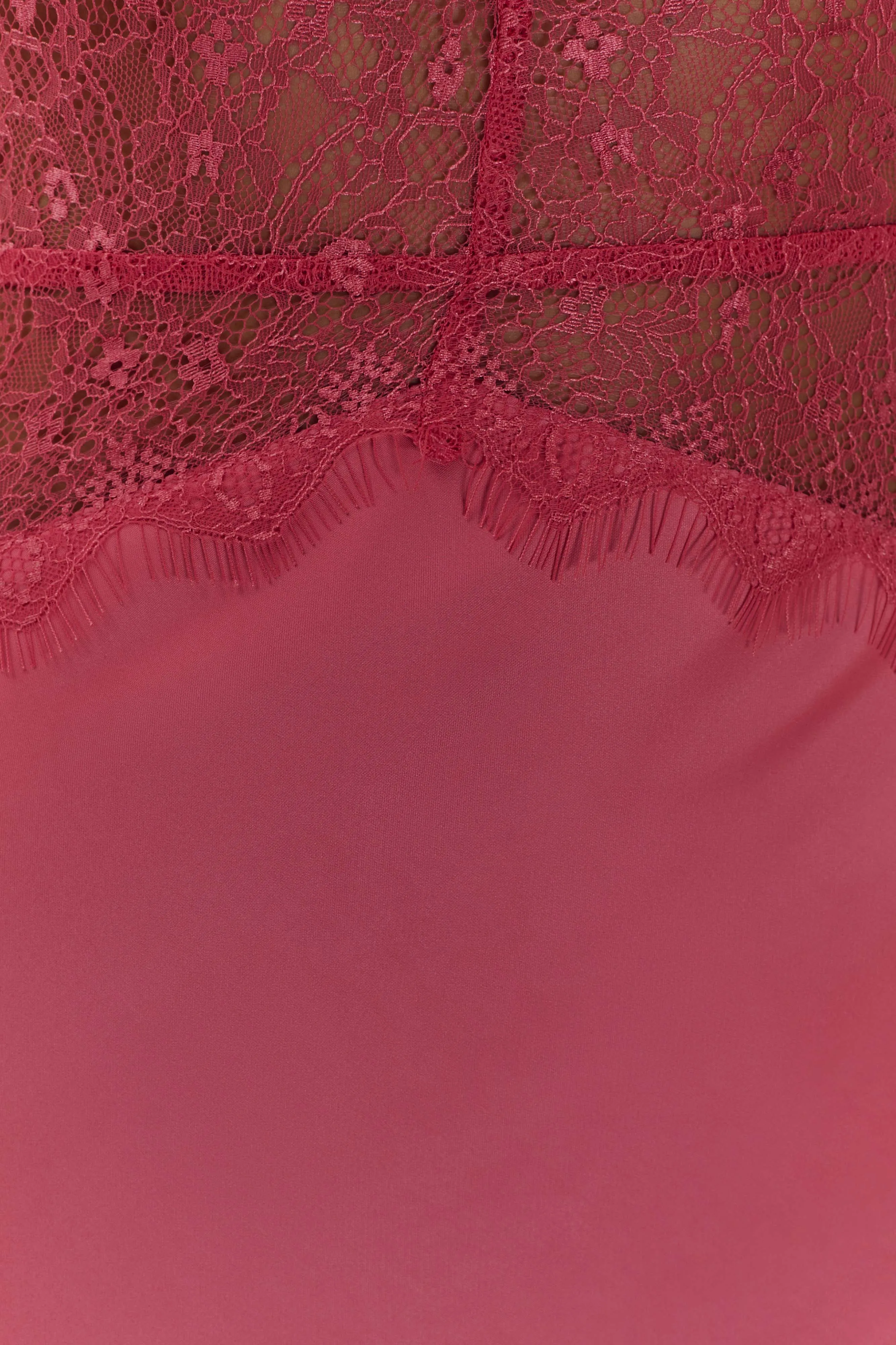 Dinah Lace And Satin Maxi Dress - Blush Rose Style focused Family Joy