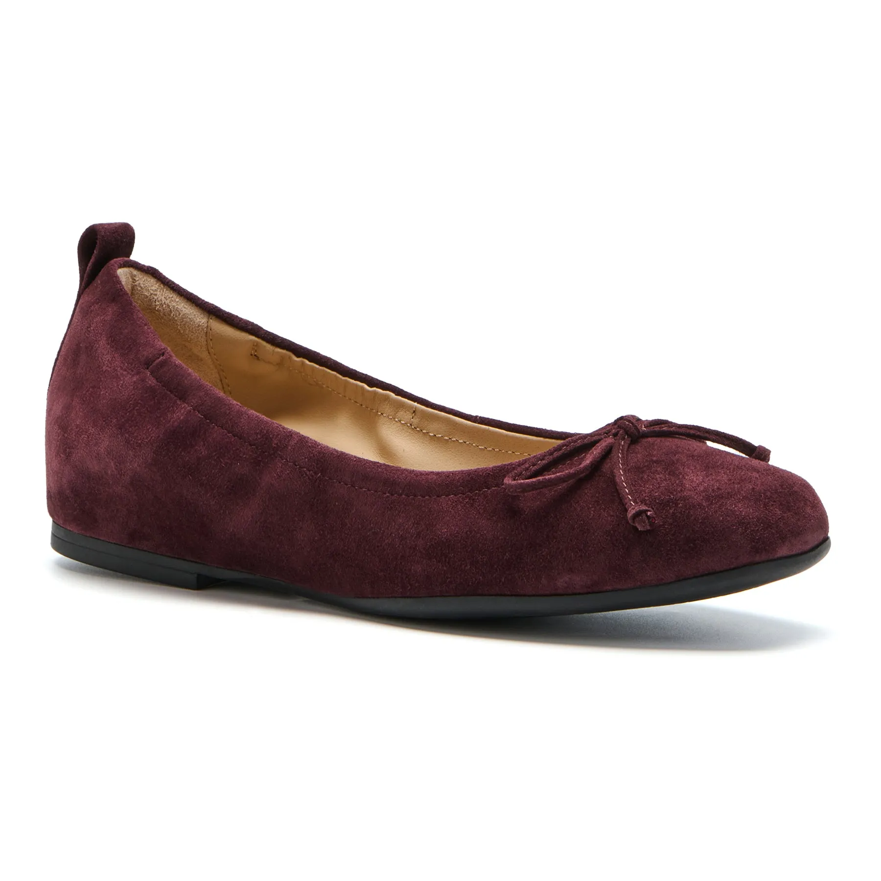 Daily Chill Cadence Bow