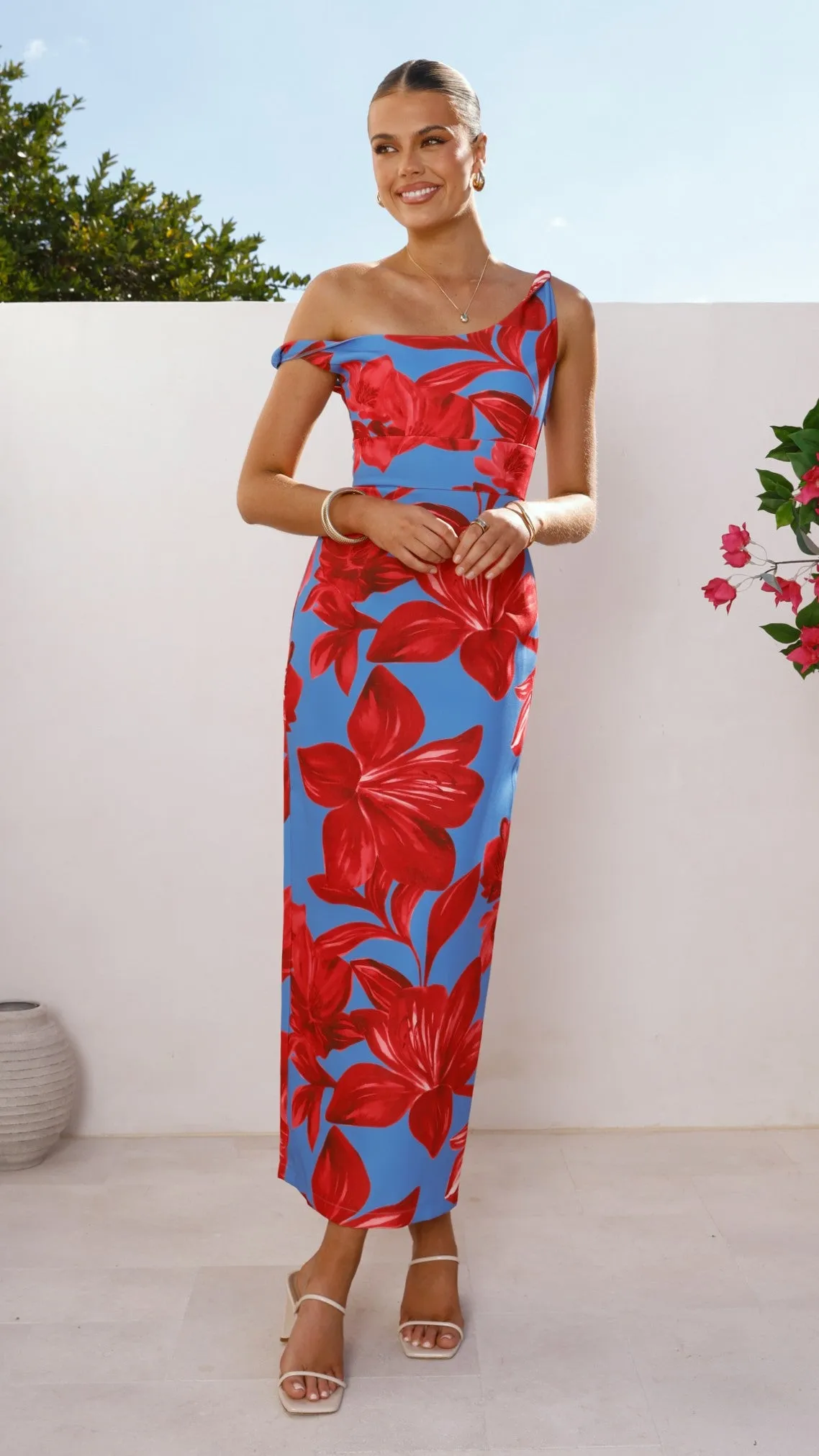 Lorina Maxi Dress - Red/Blue Floral Softly Structured