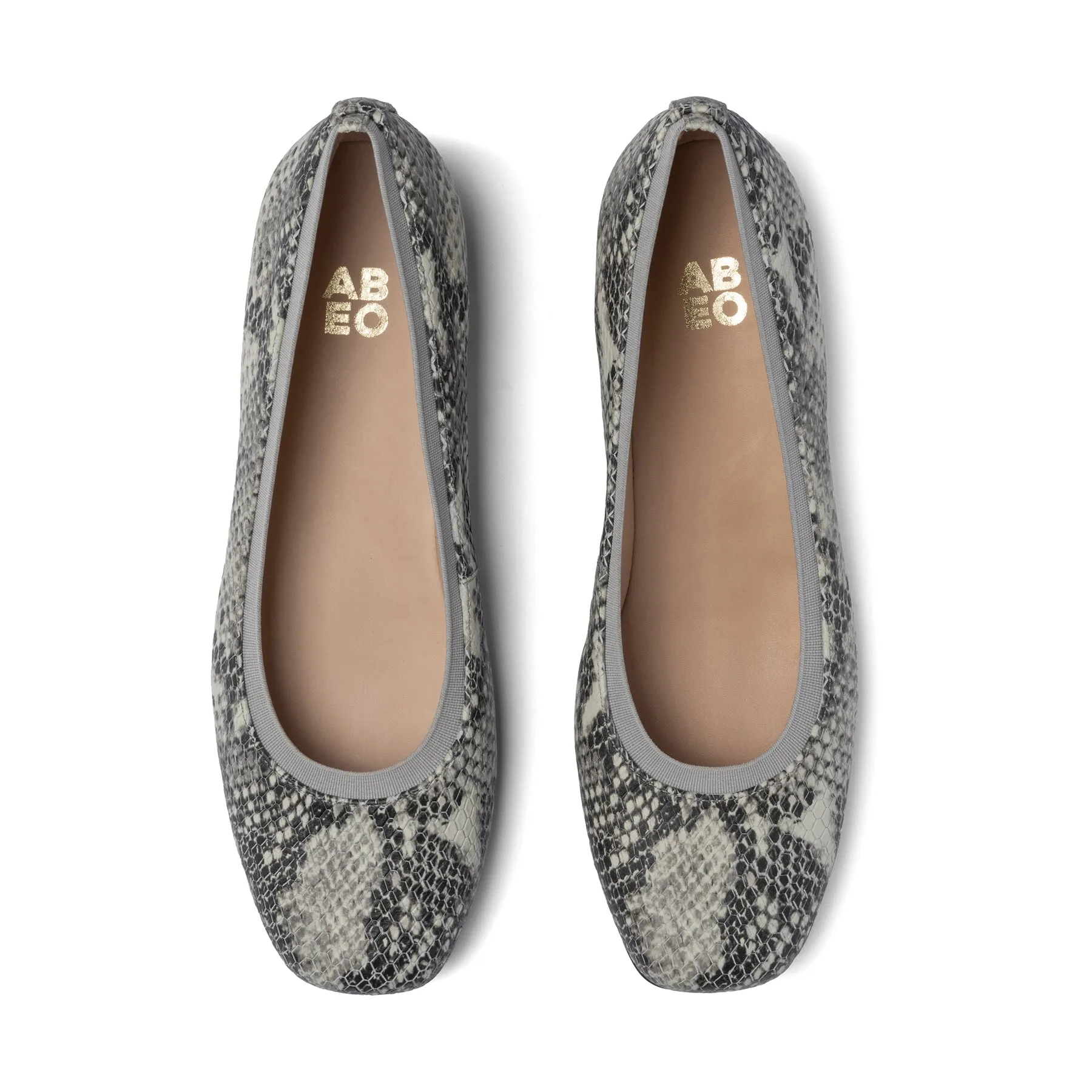 Cadence Ballet material