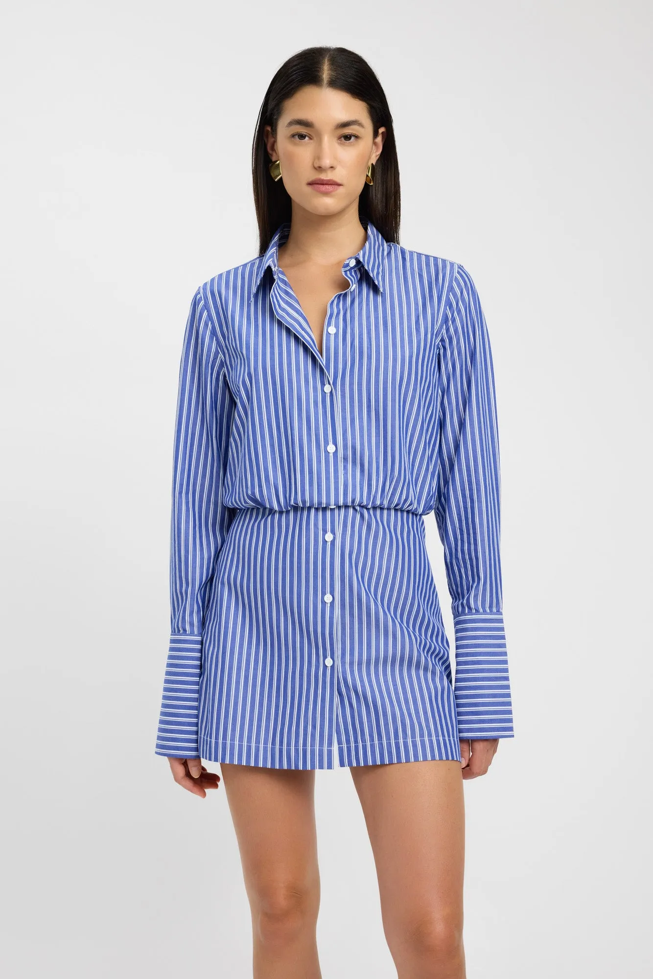 Fitted Design Harvey Shirt Dress