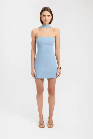 Ariel Bodice Mini Dress Subtle Drape