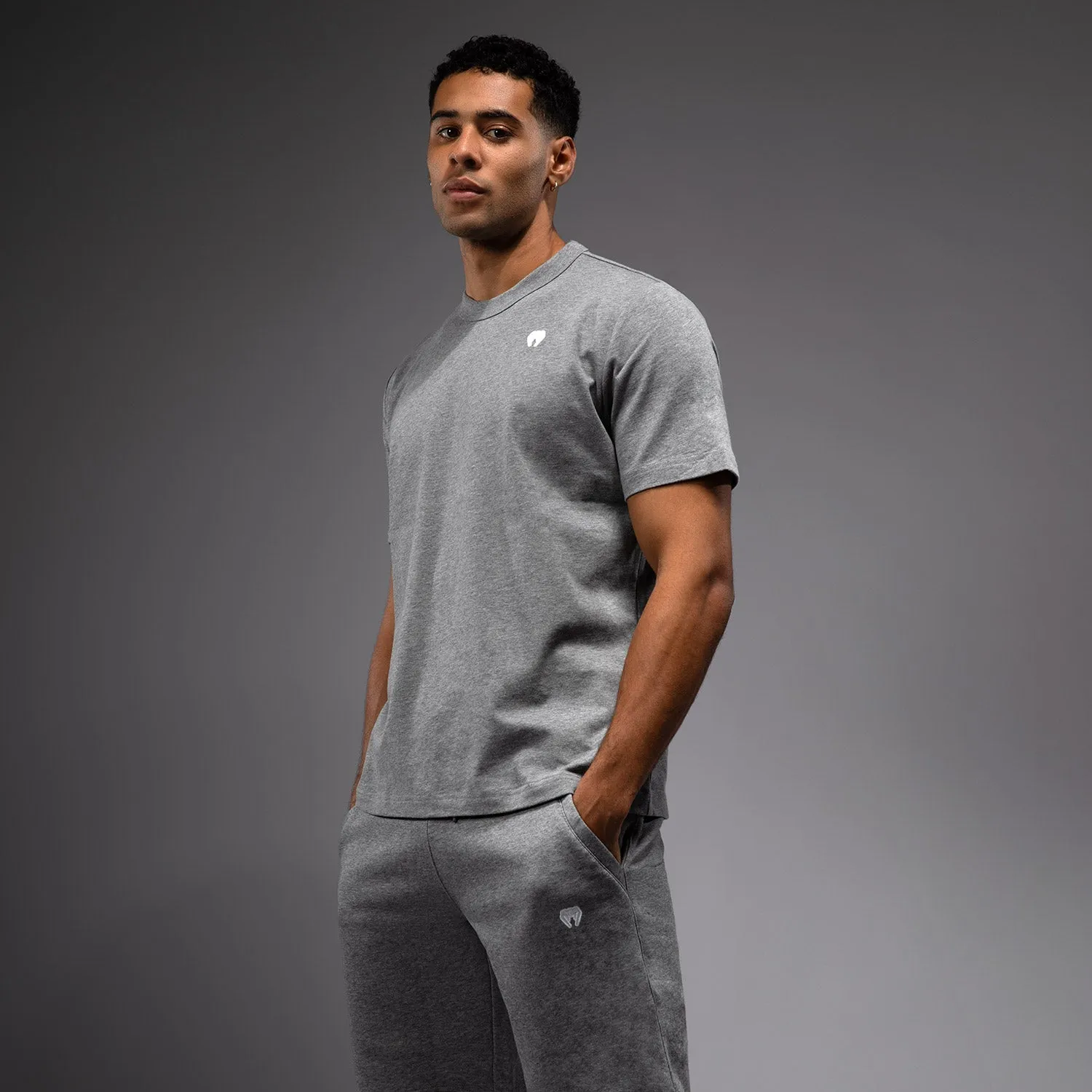 Venum Silent Power T-Shirt - Cloudy Grey Active Wearable Sporty Style